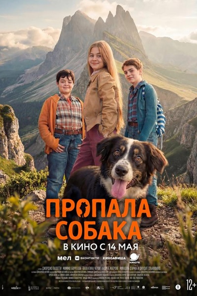 Пропала собака