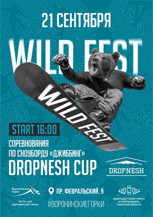 Кубок по сноубордингу DROPNESH CUP