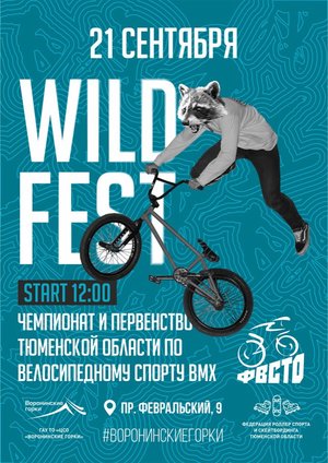 Чемпионат и первенство Тюменской области по велосипедному спорту ВМХ