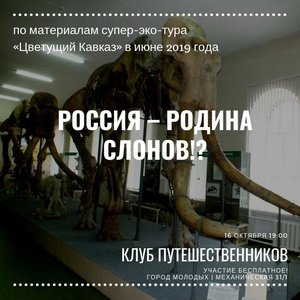 Клуб путешественников: Россия – родина слонов!?