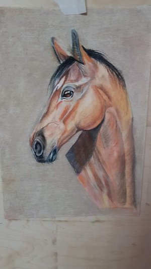 Курс по рисованию лошадей пастелью