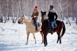 Конная прогулка с пикником