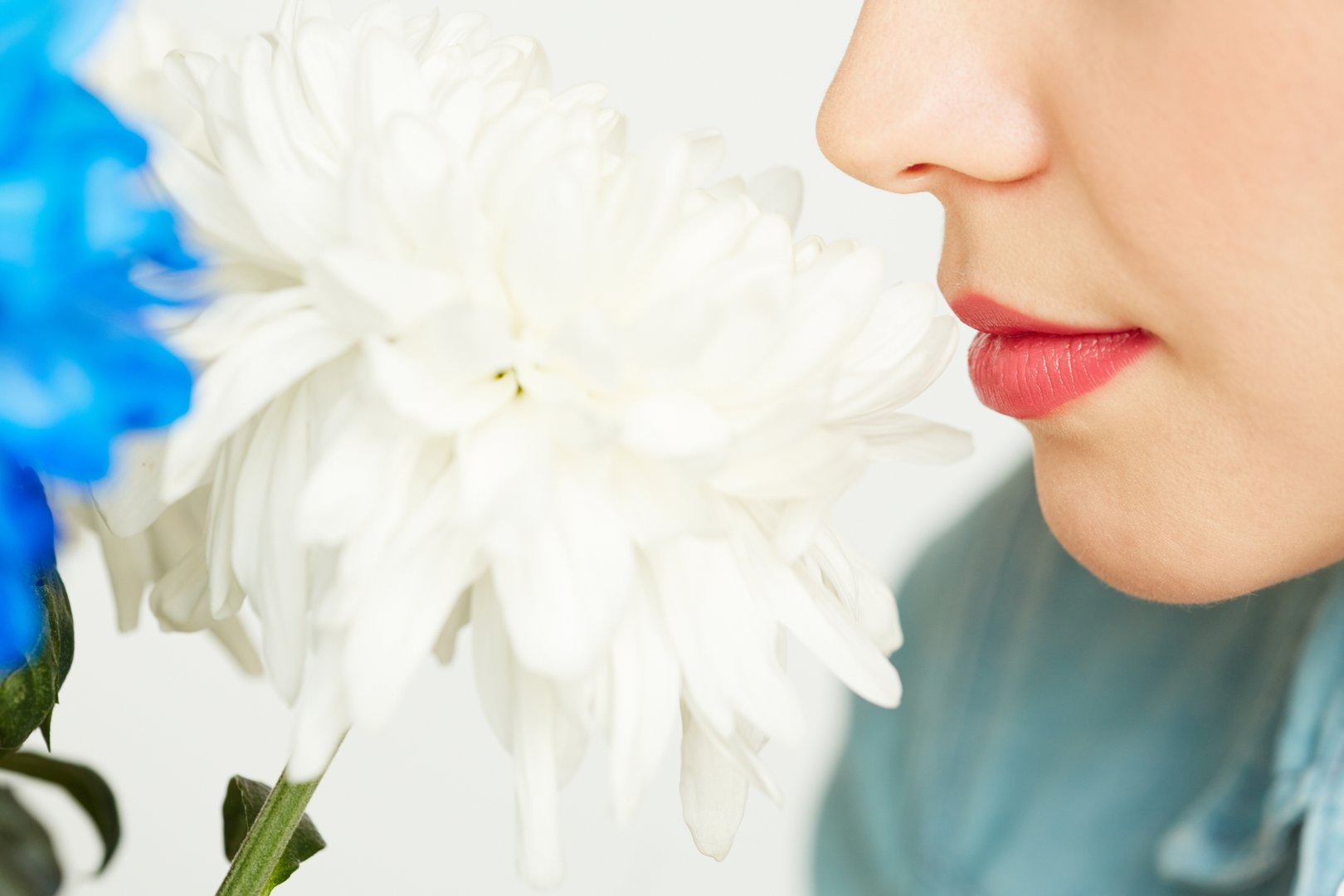 Угадай запах. Приятный запах. Обоняние. Фотосессия цветы изо рта. Женщина с хризантемами фото.