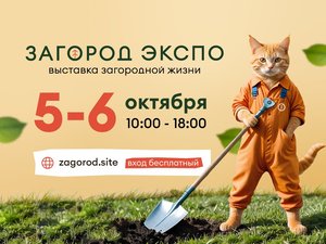 Выставка "ЗАГОРОД ЭКСПО"