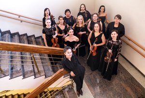 Оркестр «Камерата Сибири». Музыка в деталях