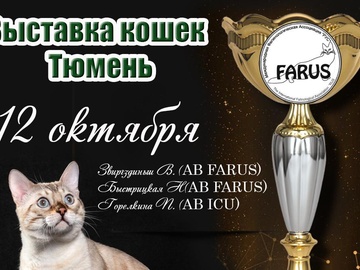 Выставка кошек и котят