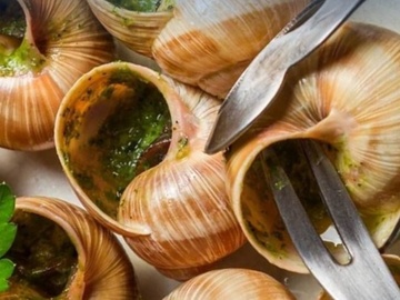 Гастротур на улиточную ферму