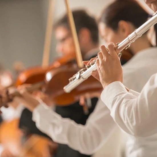 Учащиеся ДШИ ТГИК