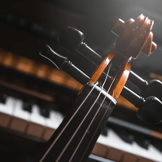 Учащиеся ДШИ «Этюд»