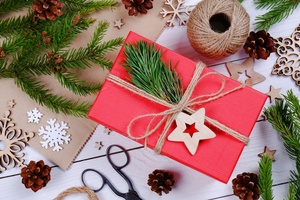 Рождество вверх тормашками, или в поисках волшебной подковы