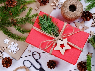 Рождество вверх тормашками, или в поисках волшебной подковы