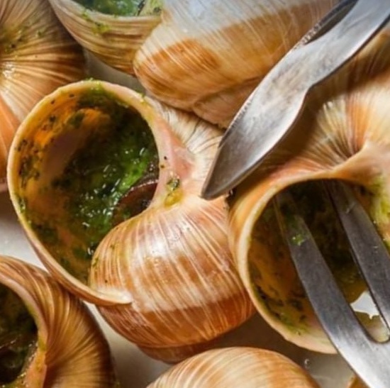 Гастротур на улиточную ферму