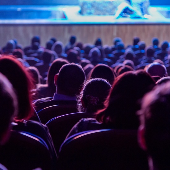 Терапевтический концерт