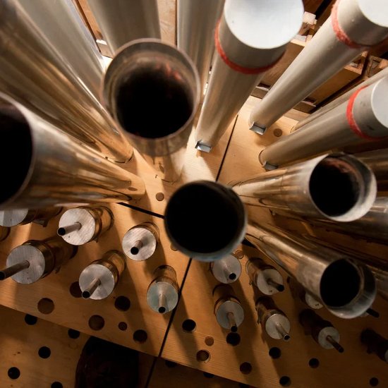 Мария Блажевич. Орган и труба