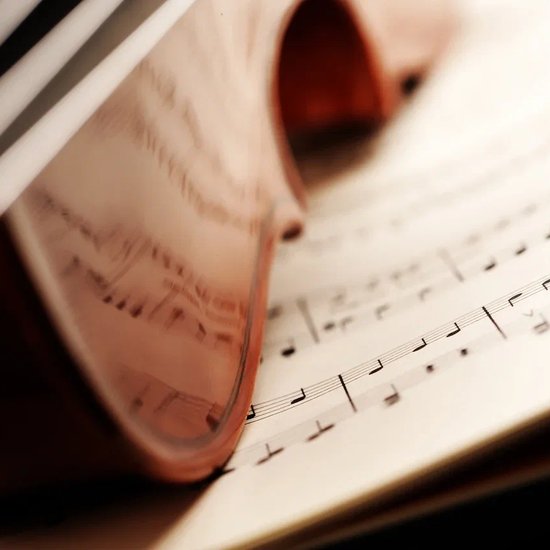 XIX век. Современники