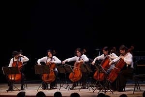 Триумф виолончели