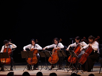 Триумф виолончели