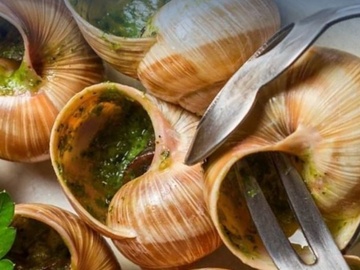 Гастротур на улиточную ферму