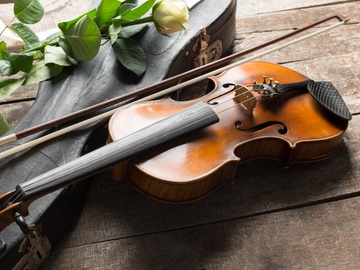 Знакомьтесь, оркестр! Струнные