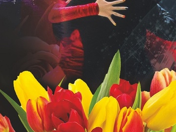 Фестиваль танцев "Кубок Сибири"