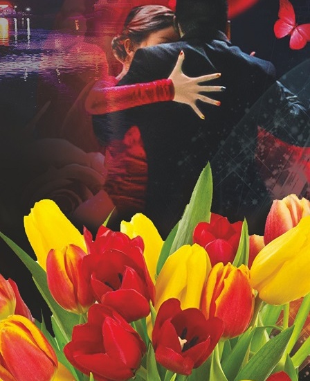 Фестиваль танцев "Кубок Сибири"