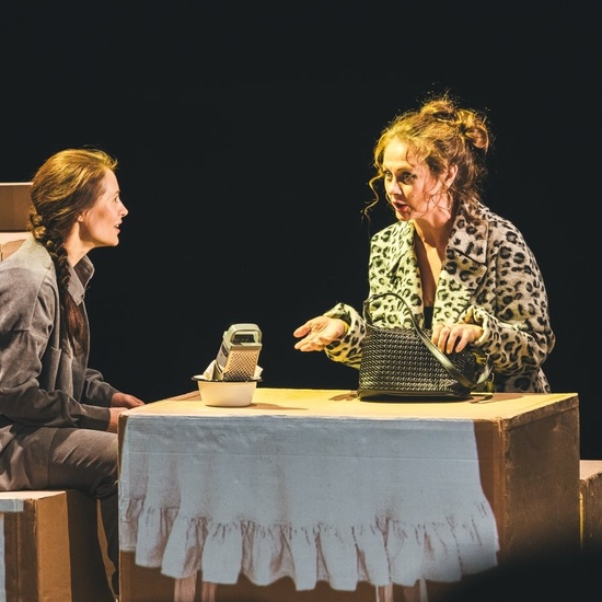 Дневник моей мамы