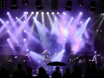 Ирландский рок и фолк