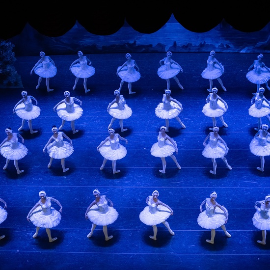 Лебединое озеро