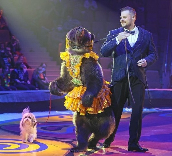 Цирк Филатовых