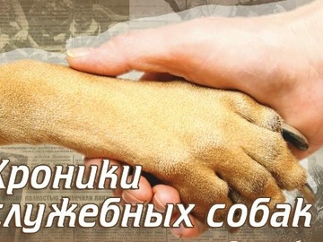 Хроники служебных собак
