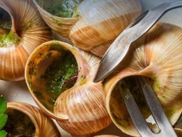 Гастротур на улиточную ферму