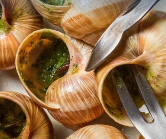 Гастротур на улиточную ферму