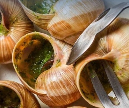 Гастротур на улиточную ферму