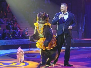 Цирк Филатовых