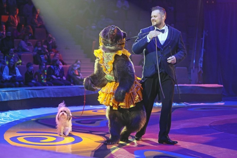 Цирк Филатовых