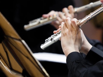 Сказка о кларнете и флейте