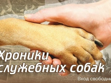 Хроники служебных собак