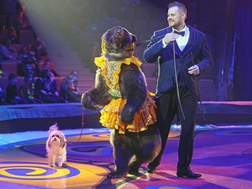 Цирк Филатовых