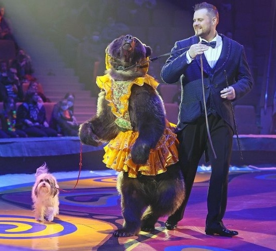 Цирк Филатовых