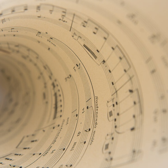 Школа «Лира»