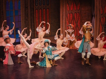 Спящая красавица