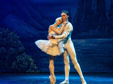 Лебединое озеро