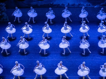 Лебединое озеро