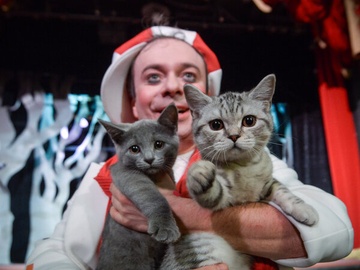 Котобум. Дмитрий Куклачёв