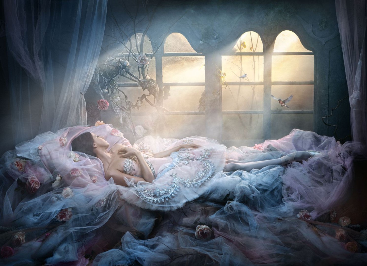 Спящая красавица (sleeping Beauty)1995