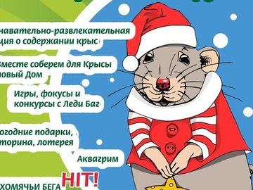 Умная Крыса и её друзья Умная Крыса и её друзья