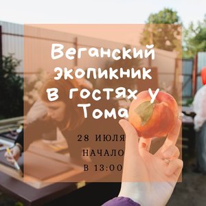 Веганский экопикник