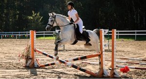 Открытый турнир по конному спорту на призы конного клуба «Аллегро»