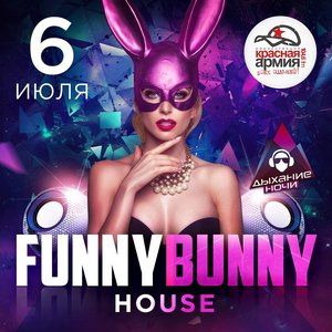 Funny Bunny House