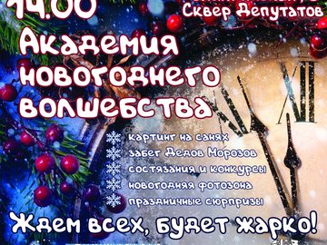 Праздничная Новогодняя уличная программа  «Академия новогоднего волшебства»
